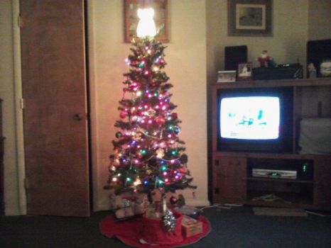 Mine and Moms Christmas tree. 2012