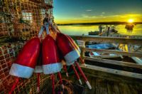 Lobster Buoys