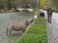 Dej mi hubičku 🦏🐕 😘