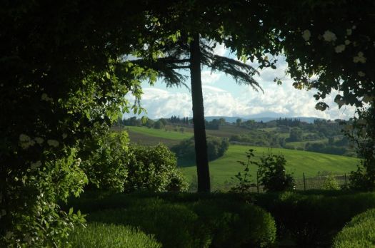 Umbria Hills