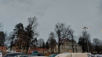 20230308 Večerní seance hejna havranů v arálu PN v Opavě