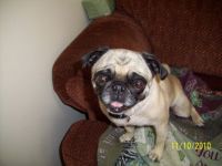 I'm Zoey I'm cute "and I know it"