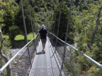 OTAKI FORKS PICNIC AREA - NEW ZEALAND