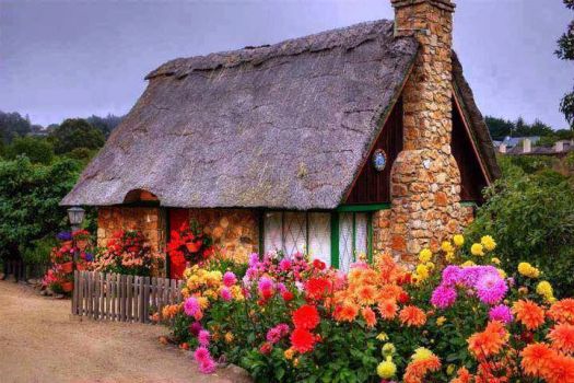 House with a thatched roof and lots of flowers