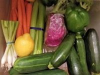 Vegetables