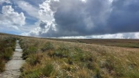 Black Hill, Peak District