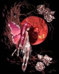 fairy