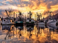 Alaska Harbor At Sunset