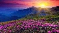 Mountain Sunrise