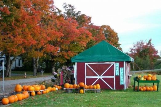 Farm stand in Maine