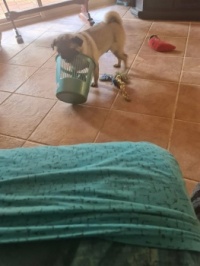 Andy at play