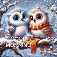 Good Morning