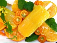 Kumquat and orange popsicles 🍊