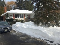 Snow Day