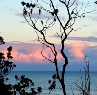 Eastern sky Bonny Hills, Australia