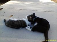 Annabelle and Donna