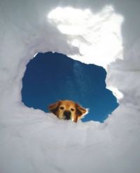 Hi there!