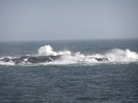 Waves on an island