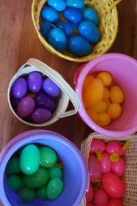 egg baskets