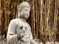 Buddha amongst the bamboo