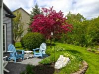 Spring on a the patio in Maine