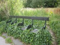 Hampstead Heath bench
