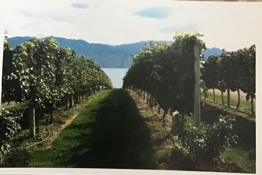 Okanagan British Columbia winery