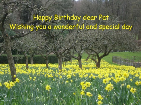 Happy Birthday Pat (pkin38)
