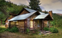 Forest Log Cabin