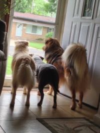 BUTT Why Must We Stay In?