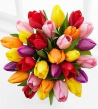 Tulip Bouquet  (Apr17P28)