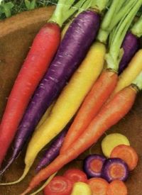 Colorful Carrots