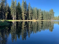 Lake Reflection