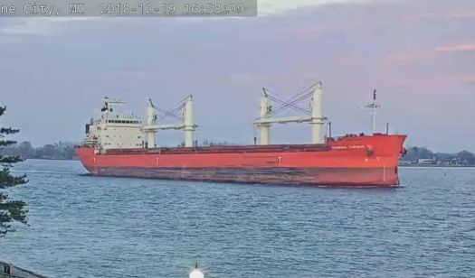 Federal Caribou - Ocean-Going Freighter - Marine City, MI (2018-12-19)