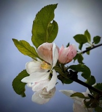 IMG_20230506_175202409
