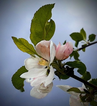 IMG_20230506_175202409