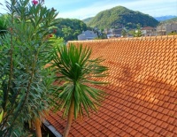 Hillside-perched hotel - Yucca and a Red-tiled Roof - Labuan Baja, Indonesia