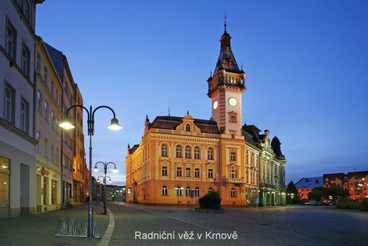 Solve Town hall Krnov, Czech Republic jigsaw puzzle online with 77 pieces