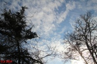 Blue Sky Yesterday