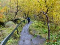 Iceland 10