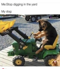 He still needs to learn how to wag his Tail Lights, though.