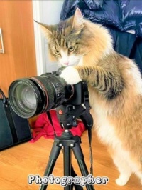 His favorite lens is a fish-eye.