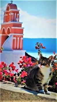 Santorini