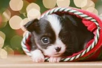 images - 2023-11-30T134940.694