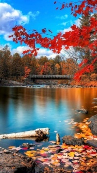 Autumn Colors By the Lake....