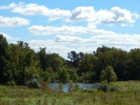 Nice little pond...