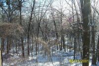 Where is Spring?