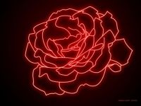 red-roses-lights