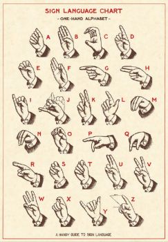 Solve Vintage 