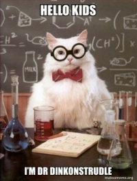 Professor Dinkonstrudle